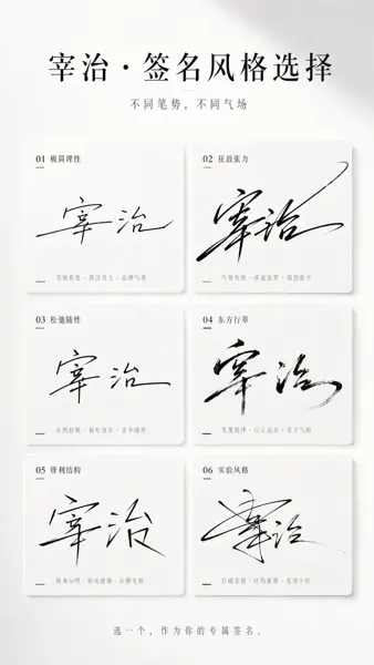 Multi-Style Signature Selection Poster sample image